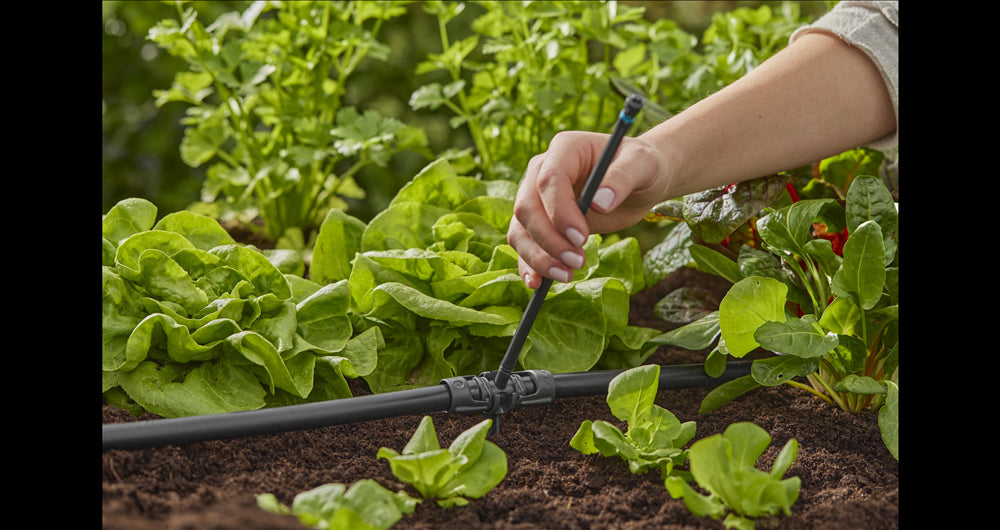 Tubo de extensión para aspersores 5u Gardena 13326-20 - 4