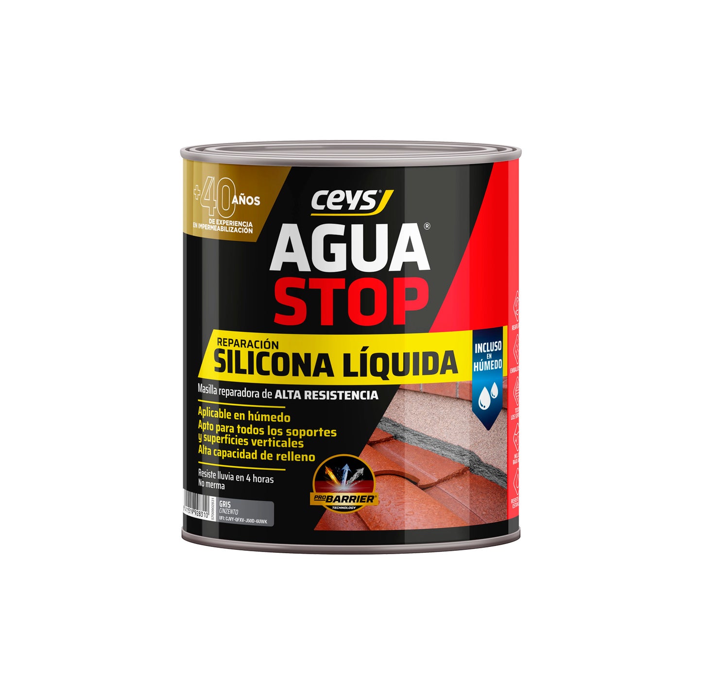 1 kg Flüssigsilikon Aguastop Ceys